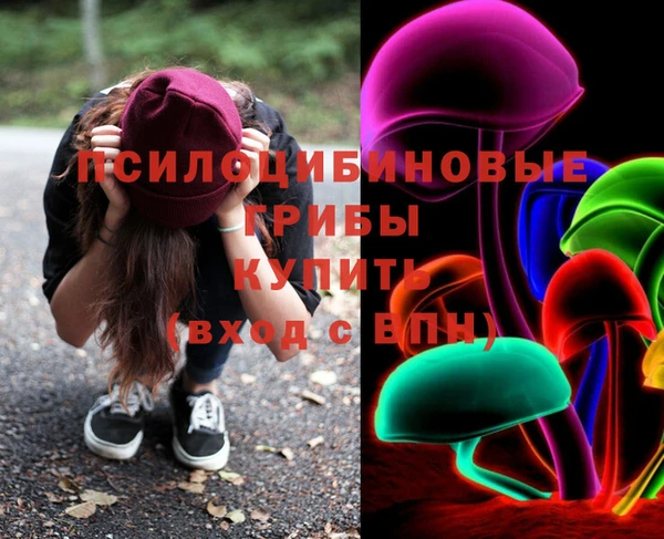 mix Белокуриха