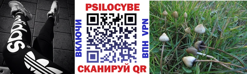 Псилоцибиновые грибы Psilocybine cubensis  Купить закладки  Нижняя Салда 
